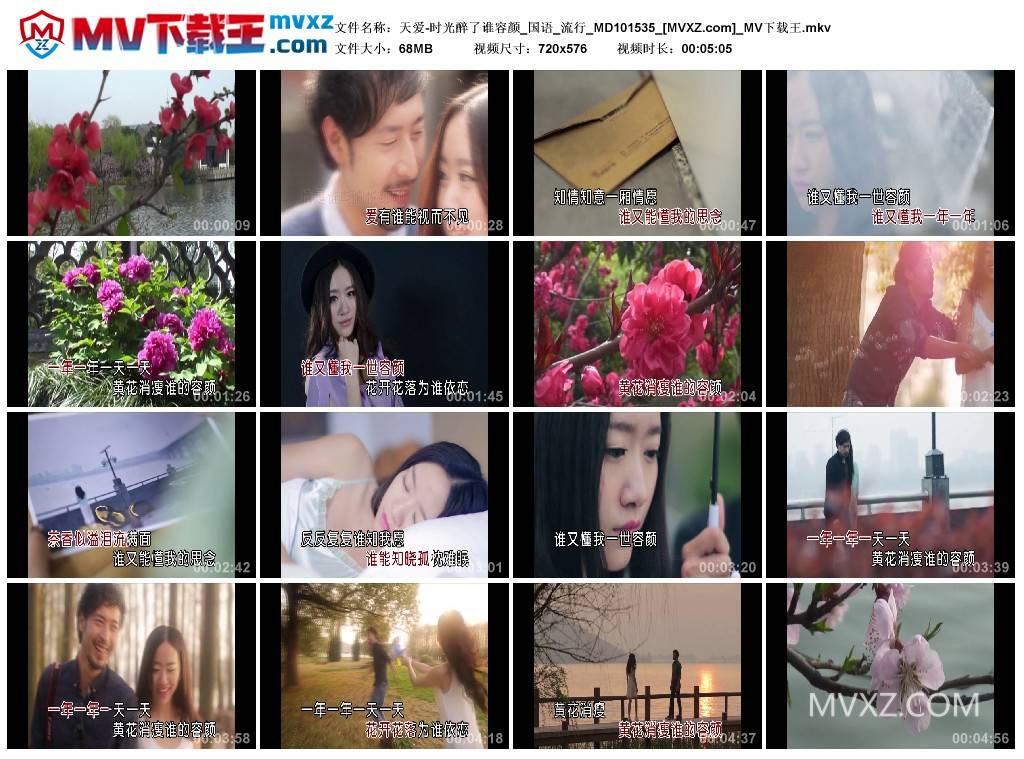 天爱-时光醉了谁容颜_国语_流行_MD101535